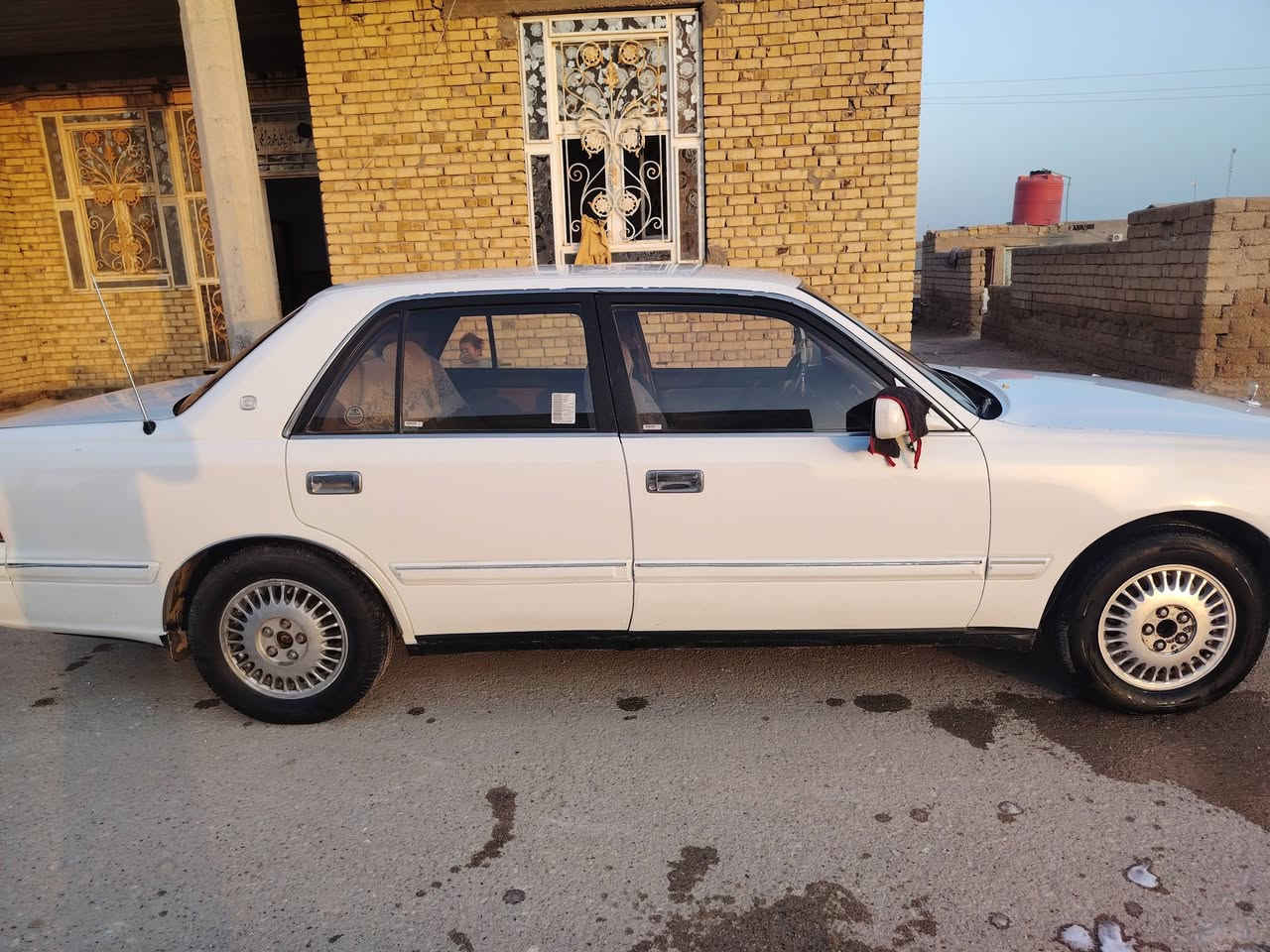 راس اثور يسرا رقم صلاح دين بسمي   مكفوله من ضربه القويه مصبوغه حزام مكان يساره سماوه *********** سعر 110 وبيه مجال قليل
