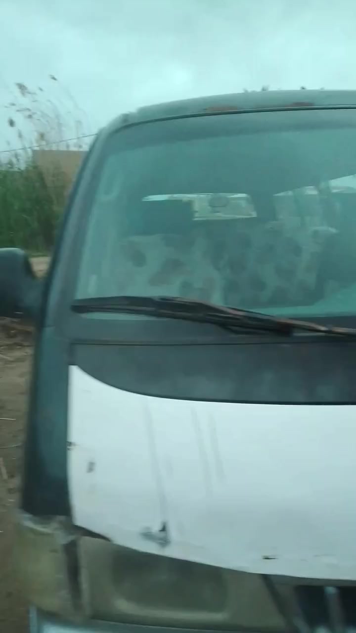 السلام عليكم بريجو للبيع سنويه ل28 مصفره هيئه وغرامات موديل 96 السعر 38 وبيه مجال رقم الهاتف ***********
