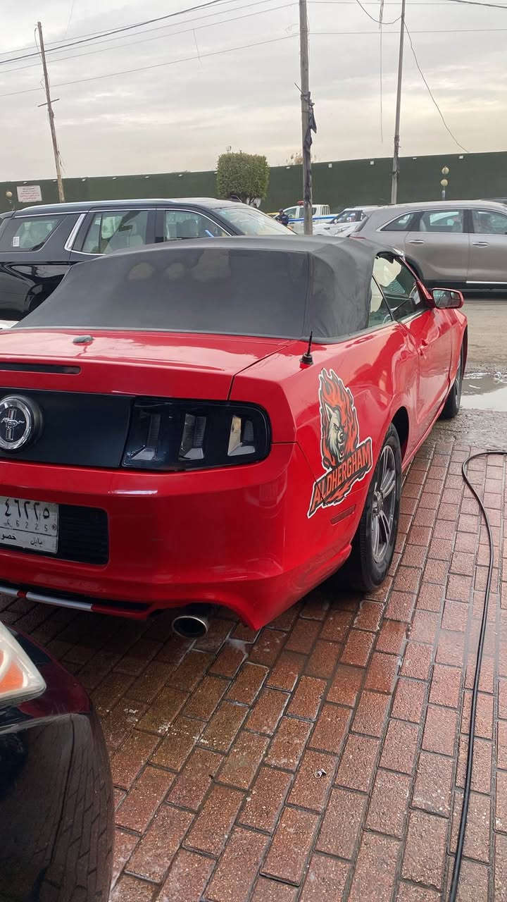 2011 موستنك
‏‎سياره جاهزه على آخر حبايه
‏‎تدفئه 
‏‎تبريد منظومه كامله جديده
‏‎محرك كير بشرط.  اي طكه بالكير ماكو 
كهربائيات كلها شغاله. كروز سرعه بالسترين شغال 
 كشف جديد
‏‎تايرات جدد 
‏‎ترايك وين متريد 
‏‎صبغ سياره حزام جماليه 
‏‎سعر السياره 75$
‏‎سياره رقم بابل هزه بعدها غير منتهيه 
‏‎مكان السياره بغداد 
*********** بغداد, العراق
