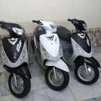 ماكس منغولي 50 • بلاد كاملات • بدون نقص