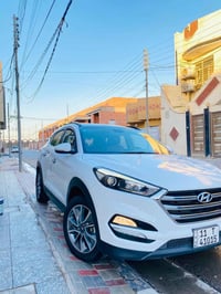 توسان فوول • مكفولة صبغ • ٢٠١٨