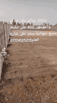 2000 دوانم ملك صرف واجهيتهن 400 على تبليط سريع ديوانية سنتر على شارع العام 
***********5
