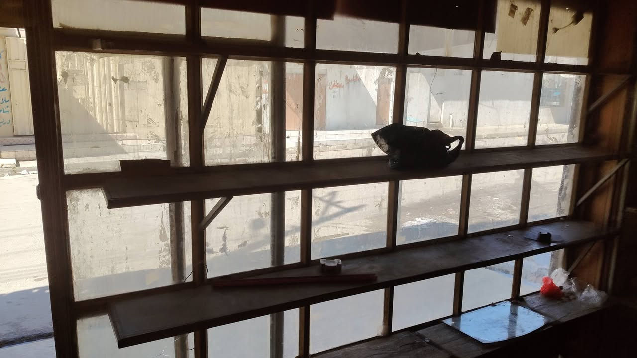 جام خانه حديد ثقيل باب سلايت العرض 3م ونص الطول 2م
رفوف حديد 10 متر
مبرده حجم 1.5 ماطور نحاس 
بانكه شرط استعمال شهر ***********:بي واتس
