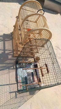 قفصين • بلابل • شبه جديدة