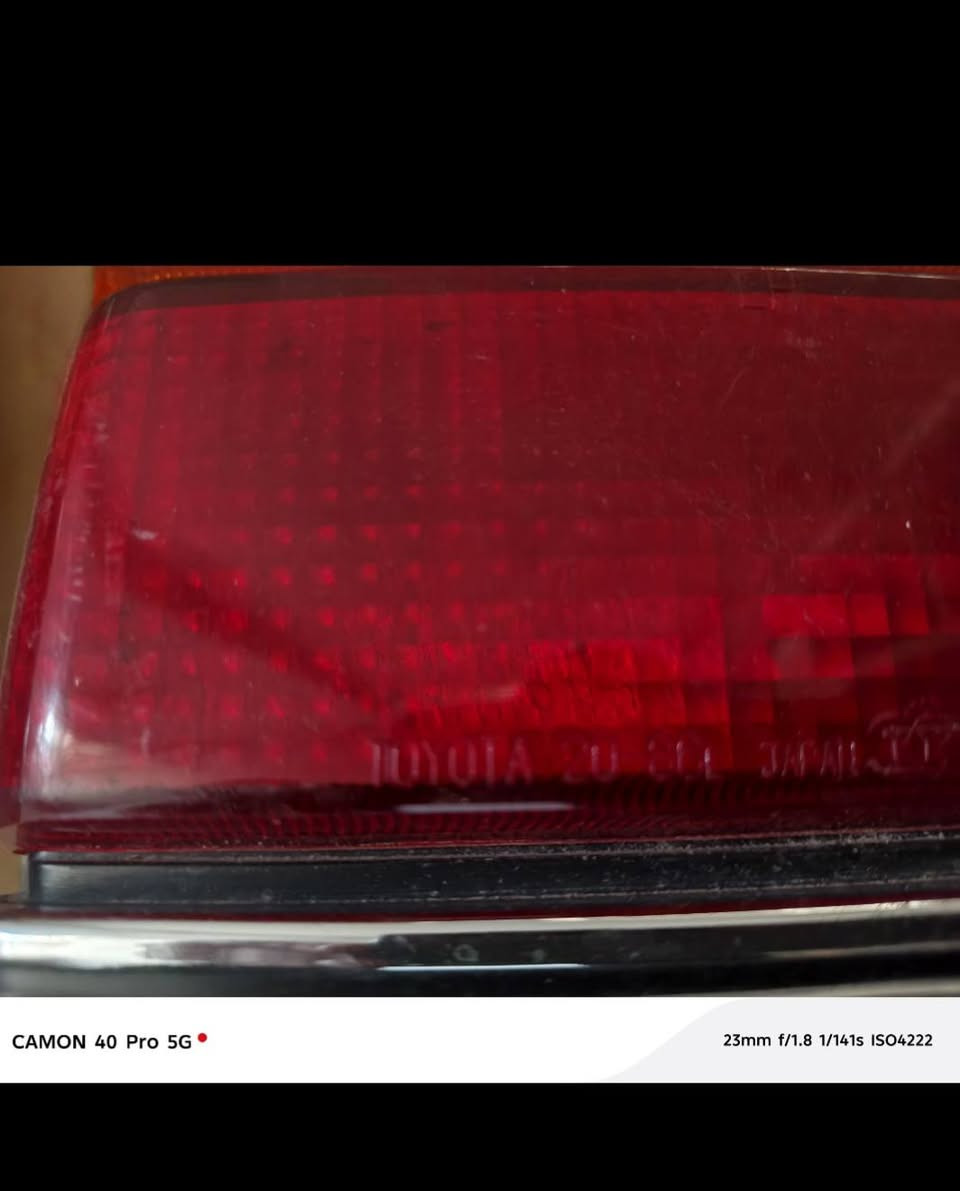 السلام عليكم ورحمه الله بكليتات اصليه موؤسسه وسكن لايتات اصليات مال موؤسسه للتواصل على الواتساب ***********
