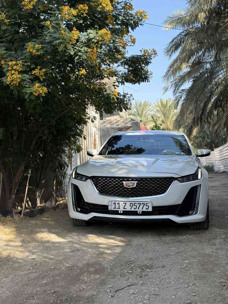 كدلاك ct5 
2023
***********
السعر 225 
حادث فقط بنيد ودعاميه الجاملغ بارد قليل
