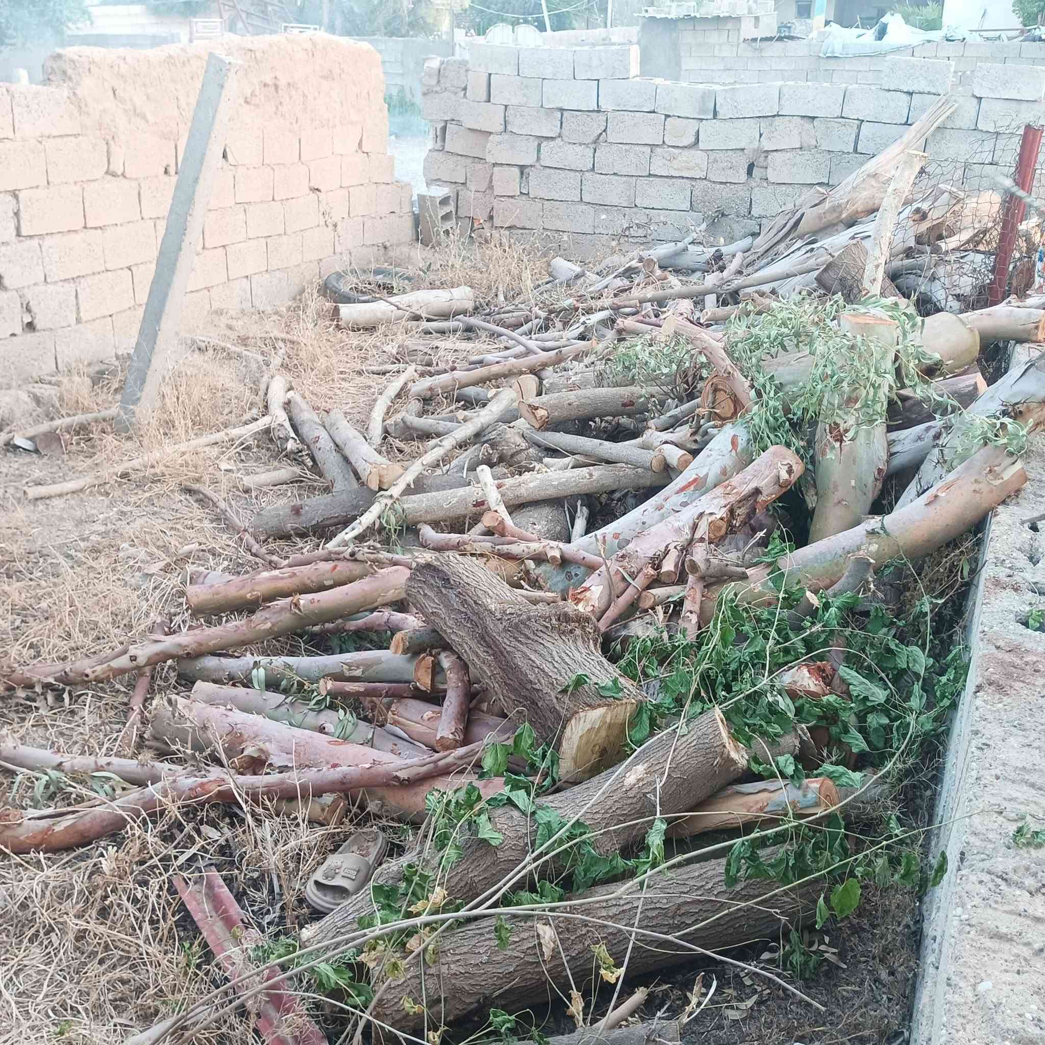 سلام عليكم خشب بي يابس واخضر سياره كامله 295 واني اوصله الك مالك علاقه بكلشي بس احجزه ودالل توصيل داخل خانقين وجلولاء وسعديه رقم الهاتف***********
