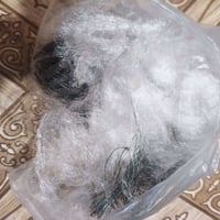 عود صيد • شبج • اسعار مناسبة