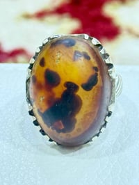 تحف العقيق • مصور ومخطوط • نجف