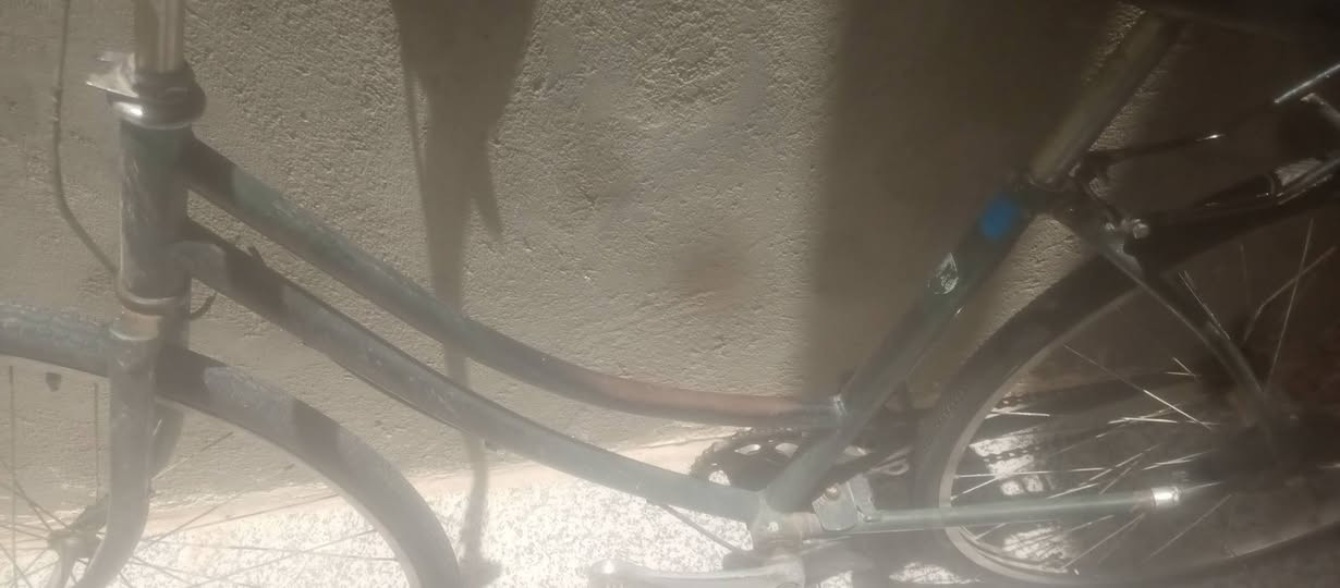 سلام عليكم باسكل البيع حجم 26 35بي مجال الناصريه الصالحيه


**إذا كنت صاحب هذا الإعلان وتريد حذفه لأي سبب، رجاءا أرسل رسالة إلى الدعم الفني**