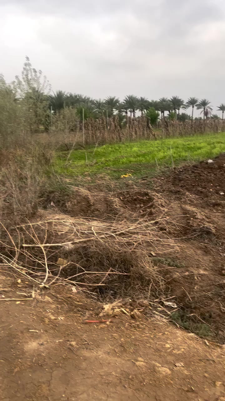 📢اعلان رقم (60) ✦────────────────────✦

السلام عليكم ورحمة الله وبركاته ✅
حياكم الله جميعاً

🔹 تفاصيل الارض  👌:
جنس الارض زراعي سند 35 
المساحة:  3 دوانم

الواجهة الكلية 36  
نزال 225
الموقع: 🕹️بغداد الراشدية منطقة الانتصار ✅

🎥 باقي التفاصيل داخل الفيديو  

📞 للاستفسار:
اكثر 🤳اتصل على الارقام التالية 
***********
*********** 

✦────────────────────✦

#بغداد
#عقارات_بغداد
#نص_دونم
#بيع_وشراء
#مجيد_الناصر
#عقارات
#سكن
#عقارات_العراق
#فرص_عقارية
 #بيوت #مشتملات #بيع #شراء #استثمار #الحسينية #عقارات_بغداد #العراق #بغداد #عقارات_الحسينية #طابوملك_صرف #سكني #عقارات #موصل_بغداد_كركوك_حله_نجف_بصره #العراق_السعوديه_الاردن_الخليج #المحافظات_العراقية #بصره_بغداد_ميسان_ذي_قار_كل_المحافظات #اوربا_المانيا_النمسا_هولند #الخليج #دبي_قطر_الاردن_لبنان_العراق #العالم #
