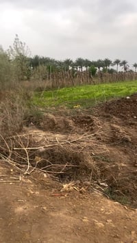 📢اعلان رقم (60) ✦────────────────────✦  السلام عليكم ورحمة الله وبركات...