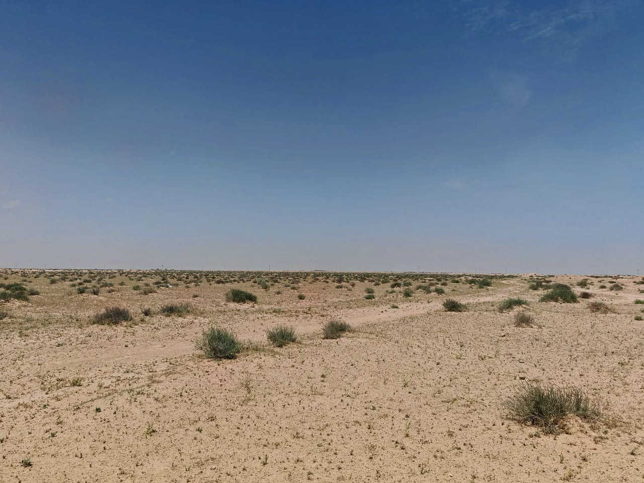 ارض للاستثمار
المساحه ١٠٠٠ دونم الارض خصبة
متوفر كهرباء ضغط عالي وماء البئر قريب ٢٥ متر
تفاصيل الاستثمار على المستثمر ان يوفر
1-مرشات محورية مع الملحقات 
2-حفر ابار مع الملحقات 
3-والتجهيز لزراعة الحنطه تكون نصف على المزراع ونصف على المستثمر 
المكان بادية النجف قرب معمل كار


**إذا كنت صاحب هذا الإعلان وتريد حذفه لأي سبب، رجاءا أرسل رسالة إلى الدعم الفني**