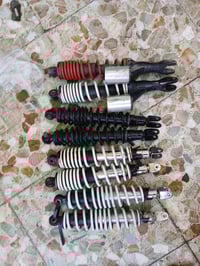 دبلات • سكنس فحل • جبلي