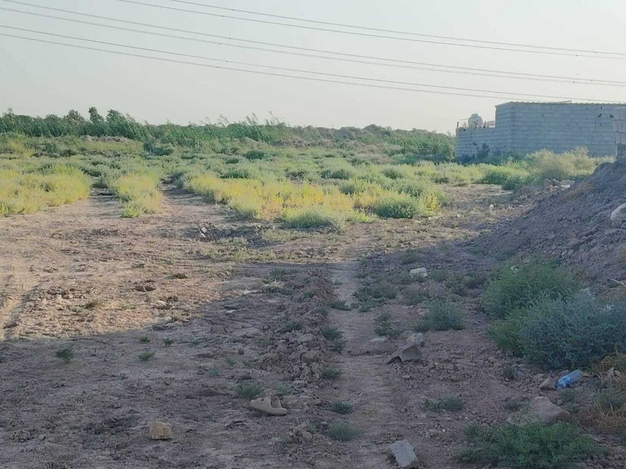 سلام عليكم 
مكلف بالنشر

قطعه ارض زراعيه للبيع
 سند 25 
مساحه 1300م 
واجه 60
نزال 20 
حي المتنبي شارع الثامن شارع سلطان السعيدي 
للاستفسار اتصال 
***********
***********
