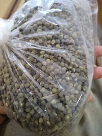 بذور بانيه • درجة أولى • إنتاج السماوه