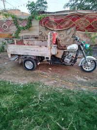 ستوته • ٢٠٠٧ • بلا راعي
