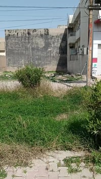 كركوك طريق بغداد • ٢٤٠م • ١٢×٢٠م