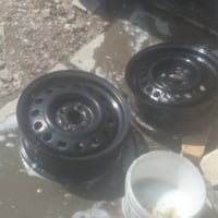 تخم ويل مال بيوادي اصلي بلادي للبيع او مراوس بويل كب مال بيوادي   رقم ...