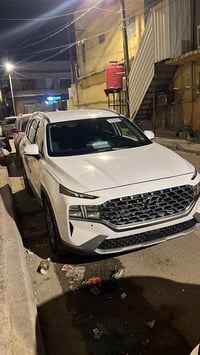 سنتافي • ٢٠٢٣ • وارد امريكي