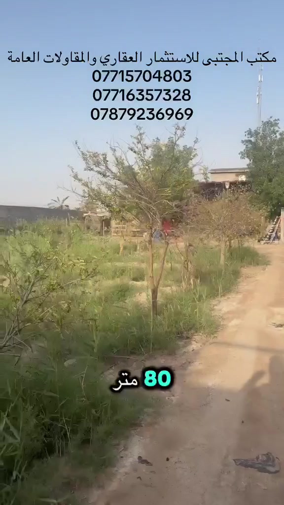 سلام عليكم دونم زراعي بستان كله سدر مركب حمال 60سدرة و6برحيات داخله بيتين بيت طابوك وبيت بلوك منطقه الخيط الأولى على نهر الحده قريب على السد العاليه سعر 140مليون جوه السوق  للاتصال ***********
