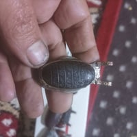 مخطوطات • أغراض قديمة • كربلاء المقدسة