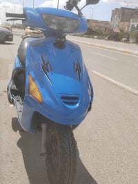 فراشة • كربلاء • حي العامل