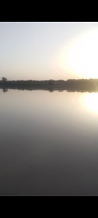 دونم • شاطيه • طابو ملك صرف