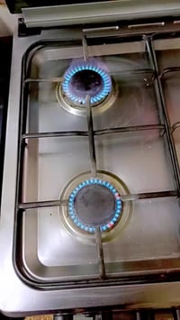 طباخ كوسونك • أصلي • بدون عيوب