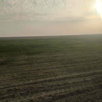 ٨٠ دونم • بيت كامل • جاهزة للزراعة