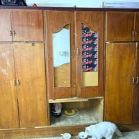 كنتور • مطبخ