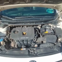 فورتي • ٢٠١٧ • ضربة خلفية