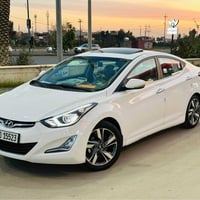 فول مصفات • كشن جلد • ٢٠١٤