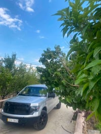 فورد F150 • محدثة رابتر ٢٠٢٢ • بدون حادث