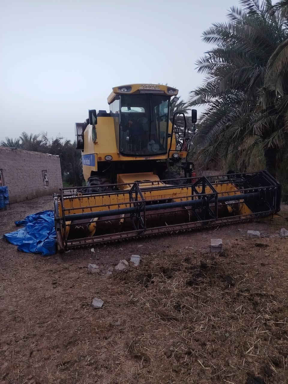 حاصوده للبيع 2017 الا تصال ***********
