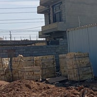 طابوق اصفر • الوزير • ٥٣٢٠