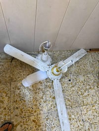 نضيفات • ثلاجة • عالفيس