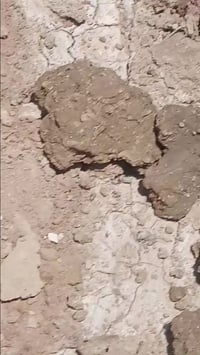 شطرة • ٤٠٠م • أرض