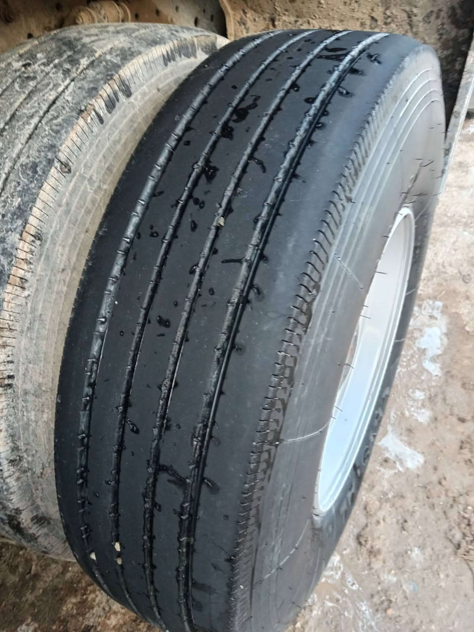 تايرات كاملات ٢٢.٥/ R13/
مراوس ب تايرات(٢٤ ) قطع وبرماخ
مكاني الصويرة قرب سيطرة اللج
الهاتف ***********
