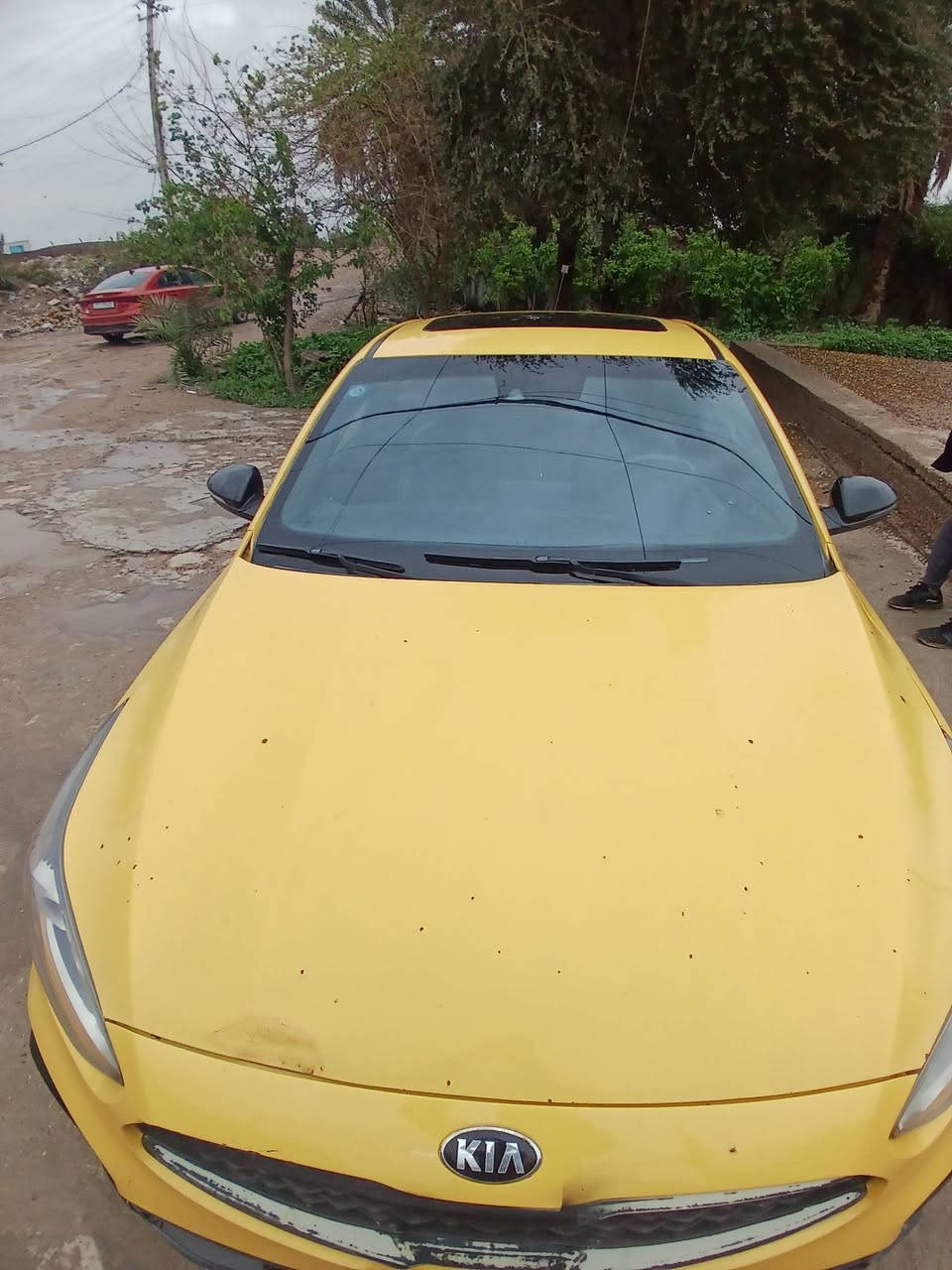 فورتي
جيتي لاين فتحه وبصمه 
رادار امامي جانبي تحكم ستيرن  
موصفات معروفه الجيتي فول السياره 
حادث جملغ قطعتين وبنيد  سياره يرادله ترتيب 
السعر 130 بيها مجال ***********
