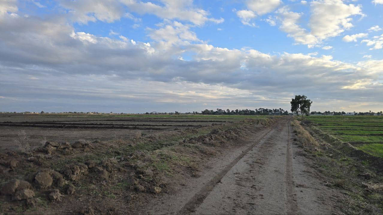 موقع مرتب تاجي ذراع دجله ✅
مقابيل سبع البور 
جايبلك دوانم حلوه ومرتبه سعر
الدونم الواحد 29 مليون وبي مجال واجهيه الدونم الواحد 50والزال 50
موقع مرتب وترفيهه لاصحاب الرفاهيه يبعدن عن التبليط
200 متر جنس الارض طابو زراعي سند 25
الخدمات ماء وكهرباء ومدراس تباع تقطيع حسب الطلب🧾 المساحه 15 دونم
فتح بيان ثاني يوم بأسم المشتري وضمان حق
المشتري ما اخذ منك ربع دينار اذا ما افتحلك بيان  بلتسجيل العقاري للاستفسار *********** واتساب
وتساب  ***********
