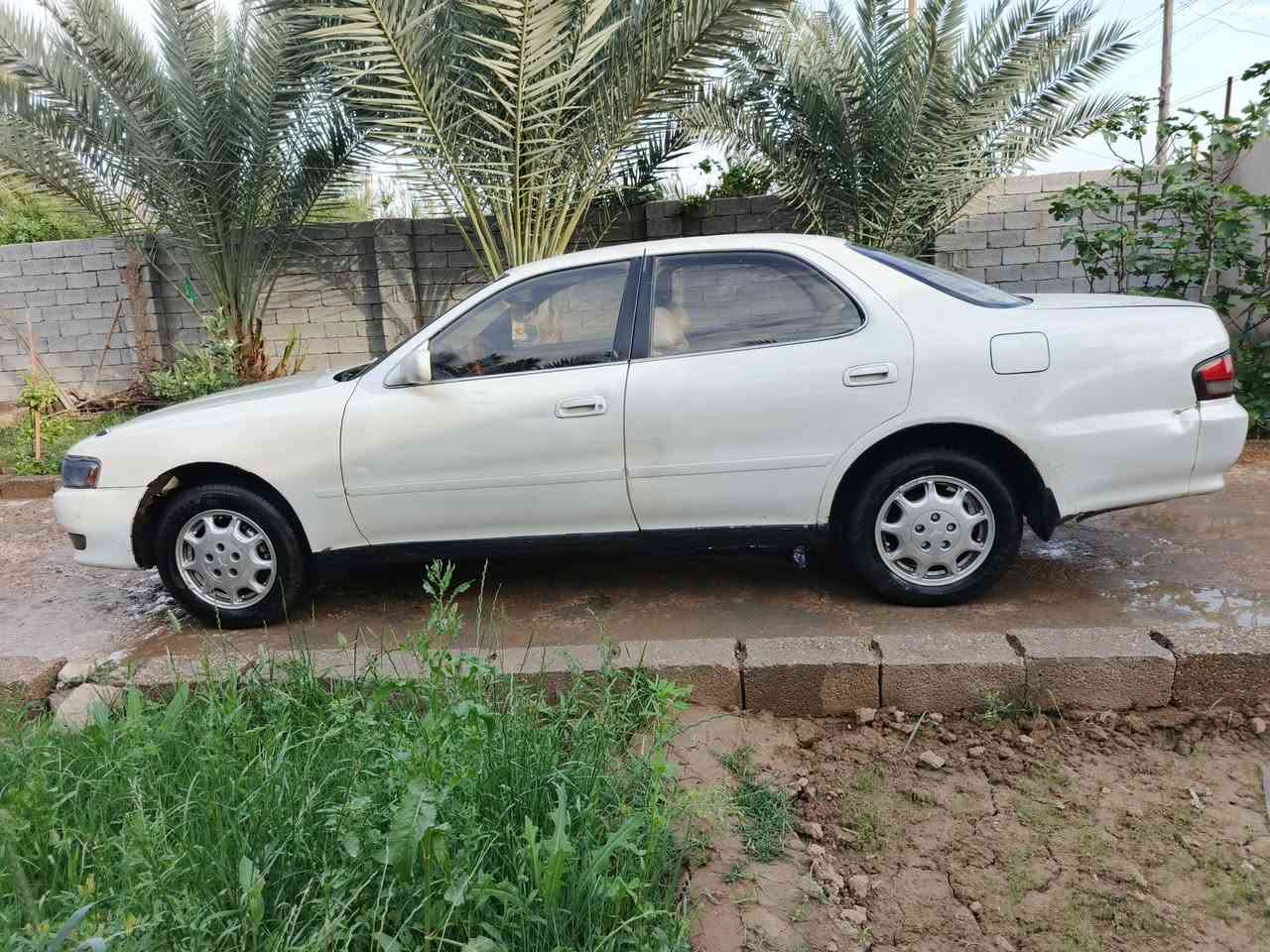 سلام عليكم كرستاا نفخ مديل 93 رقم بصره مشروع وطني مداوره ثاني يوم مكفواله من العيب الشرعي ومن نقل جثه تخم تاير حداديه توني مسويه تبريد شغال سياره جاهزه من كلشي مكنيه ونجي سياره خير من الله ذي قار \ الشطره السعر/60 وبيه مجال قليل للاستفسار ع رقم ماامتواجد ع نت الرقم ***********
