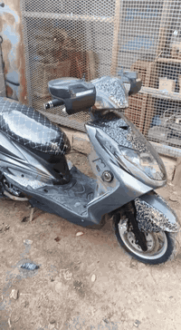 دراجتين سكنس مال جناي مكفولات جيب فيتر وتعال افحص مكاني الدوره ابو دشير القبق نفخ السعر 1150ولقبق مسح 950وبيهن مجال بسيط ***********
