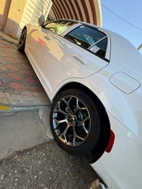 ويل • تخم تاير • مكسيكي