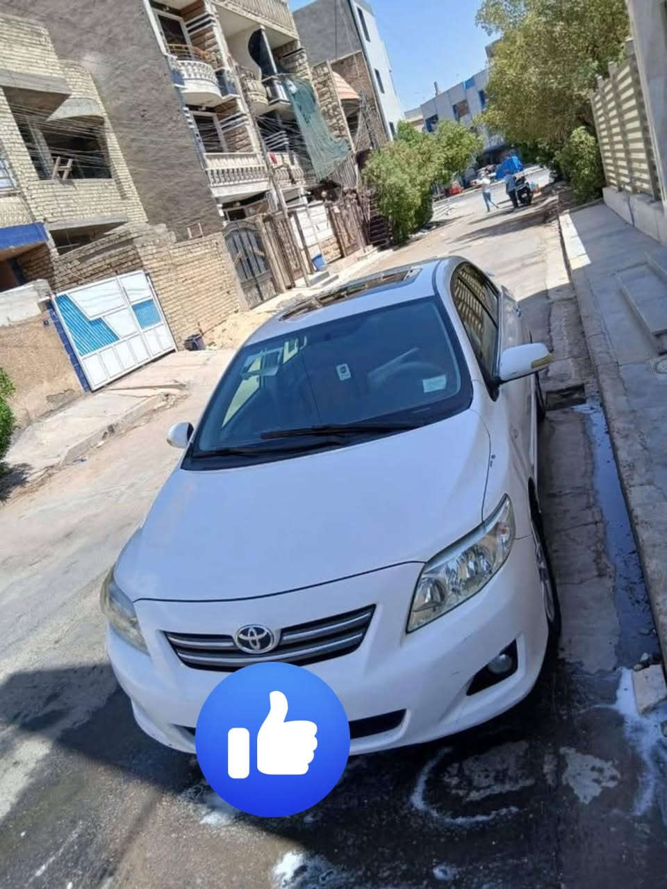 *********** للتواصل واتساب فقط
