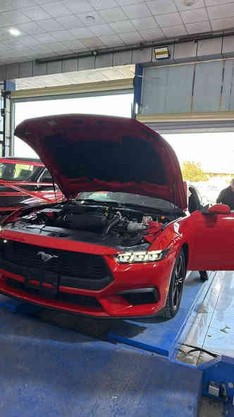 موستنك ايكو بوست 2024 شكل جديد فول عدا التشغيل عن بعد والشاشه المتصله
ماشيه 22 الف حادثه باب مبدل ومصبوغ وربع الجاملغ سياره حيل نظيفه 
ولونها مميز عليها عطاس واويل جاك كان 
سنويه باسمي تحويل ثاني يوم رقمها اربيل
مكان السياره بغذاد السعر 285 وبيها مجال بسيط 
الرقم ***********
