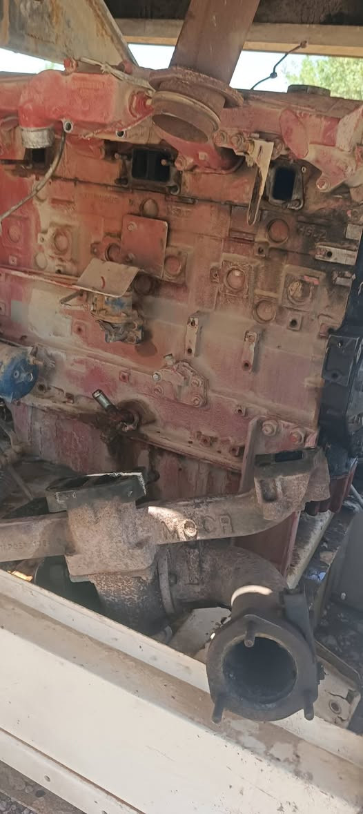 للبيع 4 مولوداد نوع بيركني مال مزاد 65 ورقة شلع مكاني ديالى التفاصيل اتصل ***********
