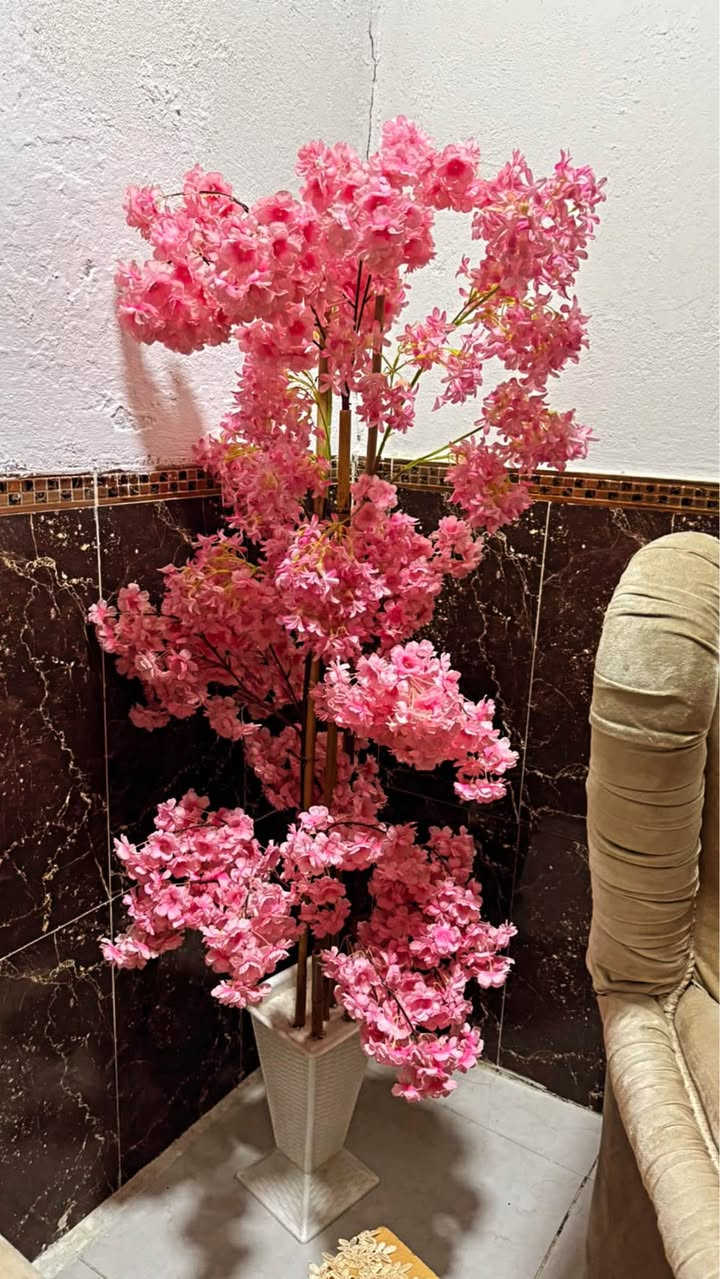 اغراض للبيع بغداد, العراق


**إذا كنت صاحب هذا الإعلان وتريد حذفه لأي سبب، رجاءا أرسل رسالة إلى الدعم الفني**