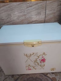 مجمدة • مستعملة