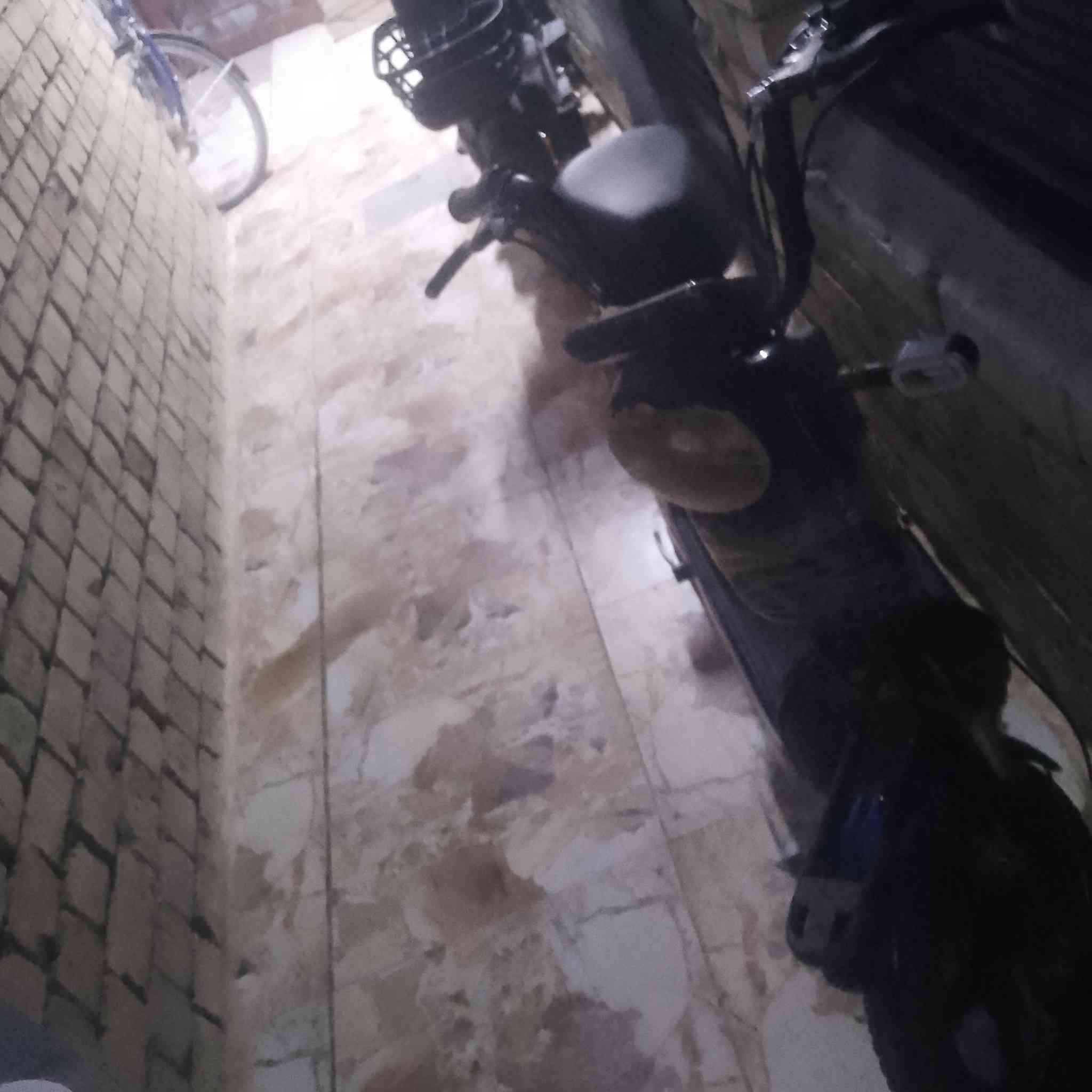 سلام عليكم داراجه شحن للبيع الدراجه بطاريات عقل تايرات كهربائيت كله جديد الراجه حيل جديده فقط الشاشه وليت بس العنوان بغداد الدوره السعر 200 وبيه مجال الهاتف *********** فقط واتساب

